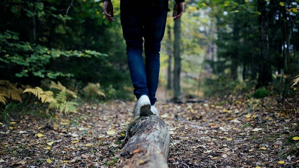 Co Wicklow Walking Trail Closed After Assault On Landowner