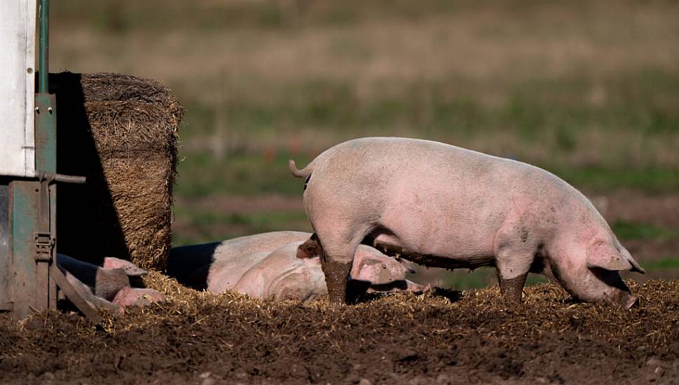 Fraud Probe Launched Into Claims Meat Falsely Labelled British