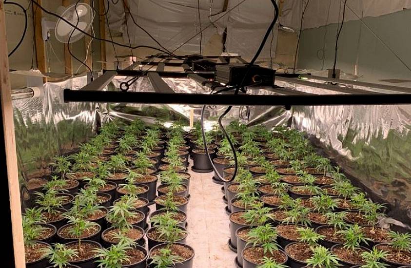 Two Men Arrested As Gardaí Close Down Growhouse With Cannabis Worth €432,000