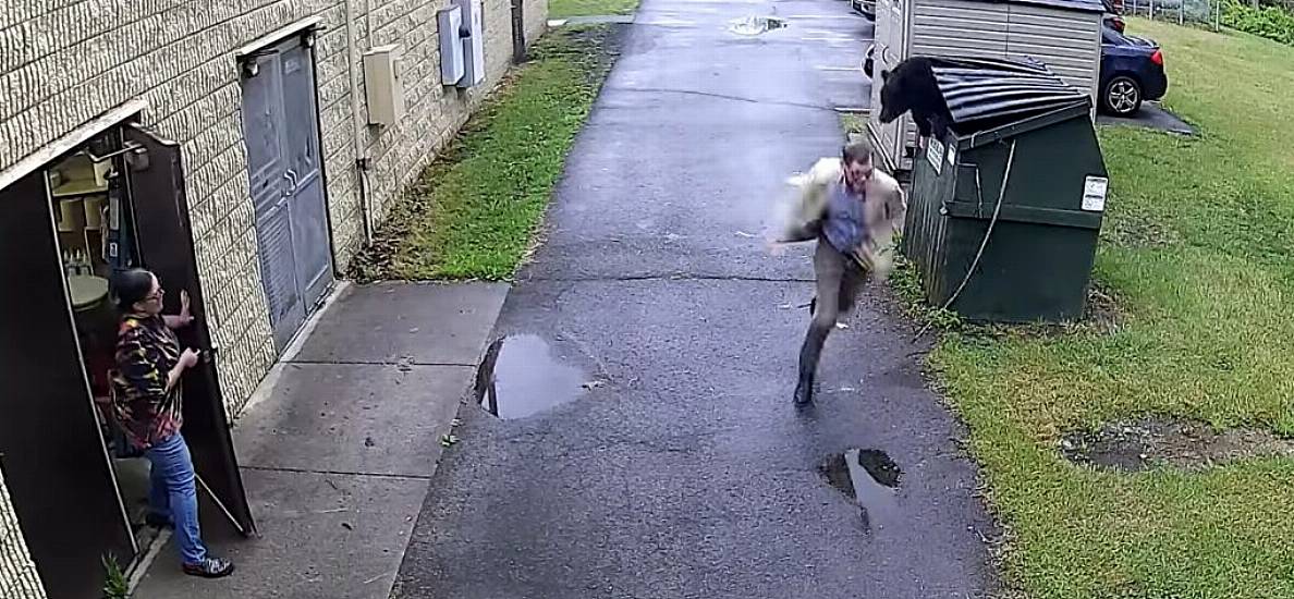 ‘A Complete Surprise’: Bear Scares Principal By Jumping Out Of Bin At Us School