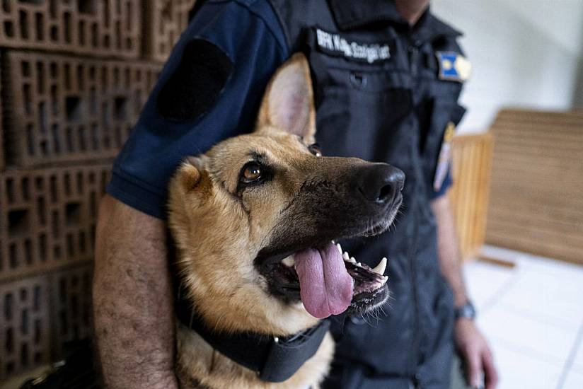 Army Dog Badly Injured In Ukraine Begins New Role With Budapest Police