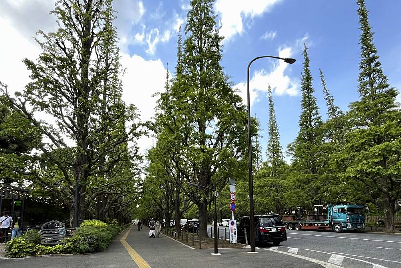 Haruki Murakami Calls For Park And Stadium That Inspired His Writing To Be Saved