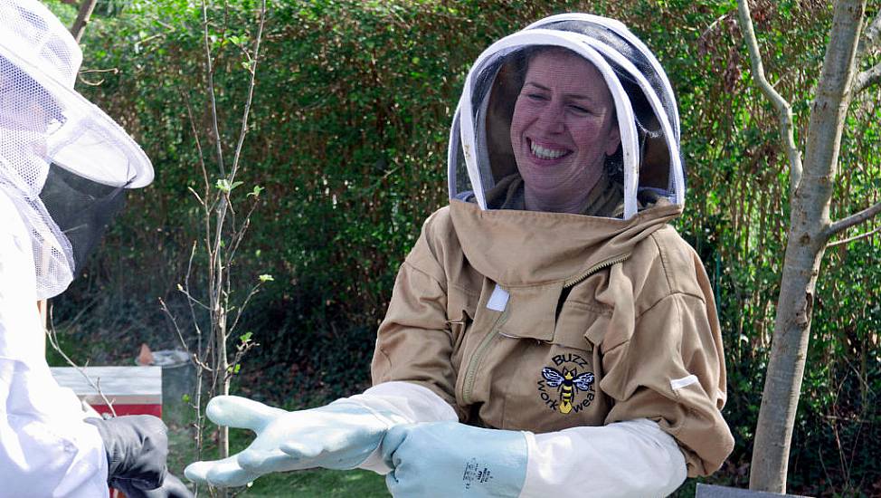 Beekeeping Has Gone Viral – But How Easy Is It?