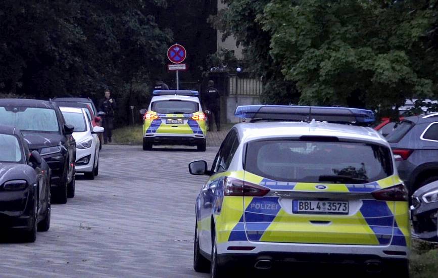 Authorities Call Off Berlin Lioness Alert, Saying ‘No Evidence Of Any Predator’