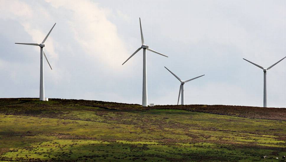 Wind Farm Development In Cork Refused Planning To Protect Whooper Swan Habitat