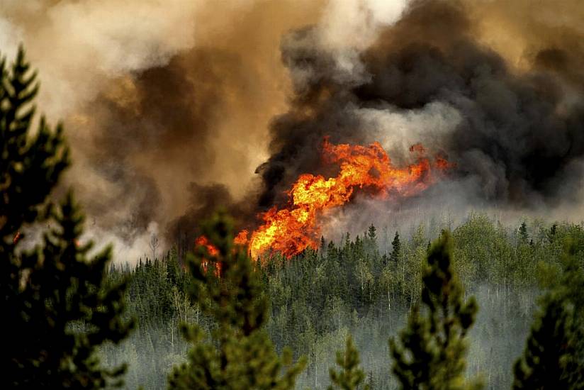 Firefighter Killed While Tackling Wildfire In British Columbia