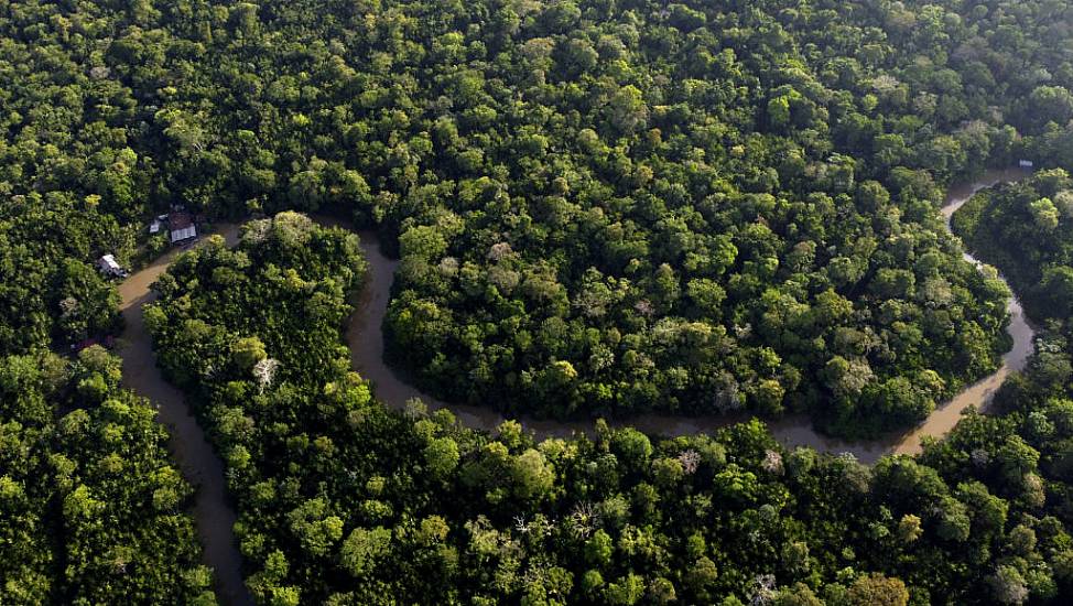 Amazon Nations Fail To Reach Agreement On Zero Deforestation By 2030