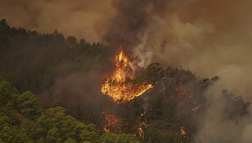 Thousands Evacuated As Out-Of-Control Wildfire Scorches Tenerife