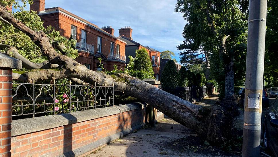 Storm Betty Leaves Over 12,000 Homes Without Power