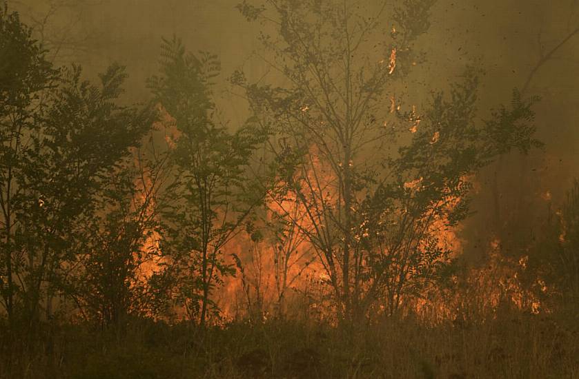 Greek Firefighters Rescue 25 Migrants Trapped In Forest As Wildfire Approaches