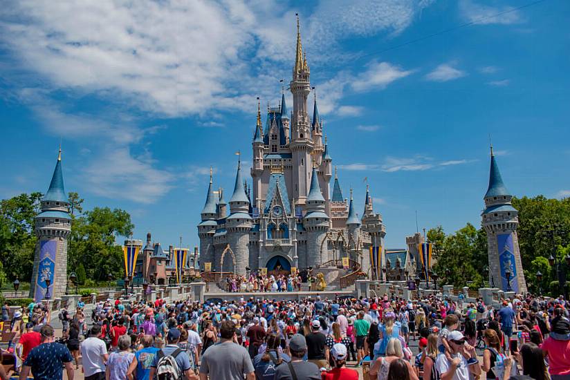 Wild Black Bear Captured In Florida’s Walt Disney World