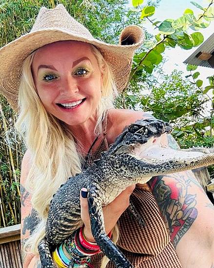 Alligator With Missing Jaw Finds New Home In Florida Reptile Park