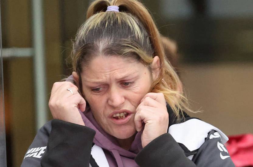 Grandmother Who Directed 'Terrible' Abuse At Gardaí During Dáil Protest Avoids Jail