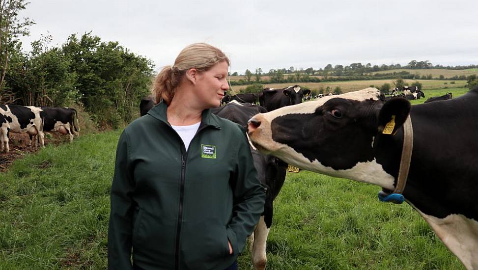 The Grassroots Movement Tackling The Climate Challenge In Irish Dairy Farming