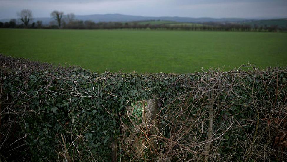 Rifle And Revolvers Among Weapons Found Buried In Hedgerow