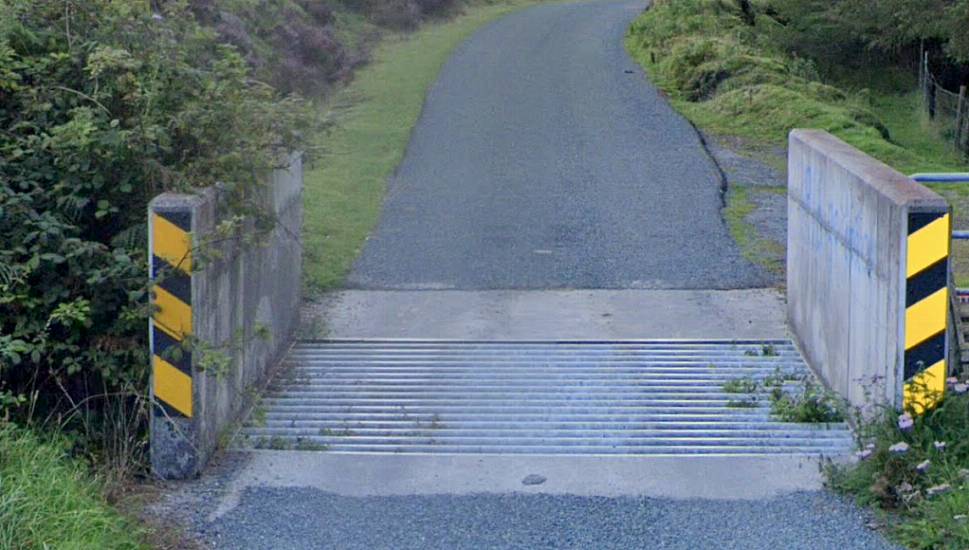 Man (20) Sues Over Alleged Severe Injuries Sustained In Fatal Co Carlow Crash