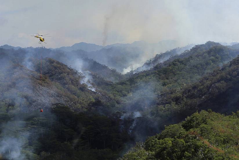 Hawaii Wildfire Destroys Parts Of Rainforest Home To Fragile Species