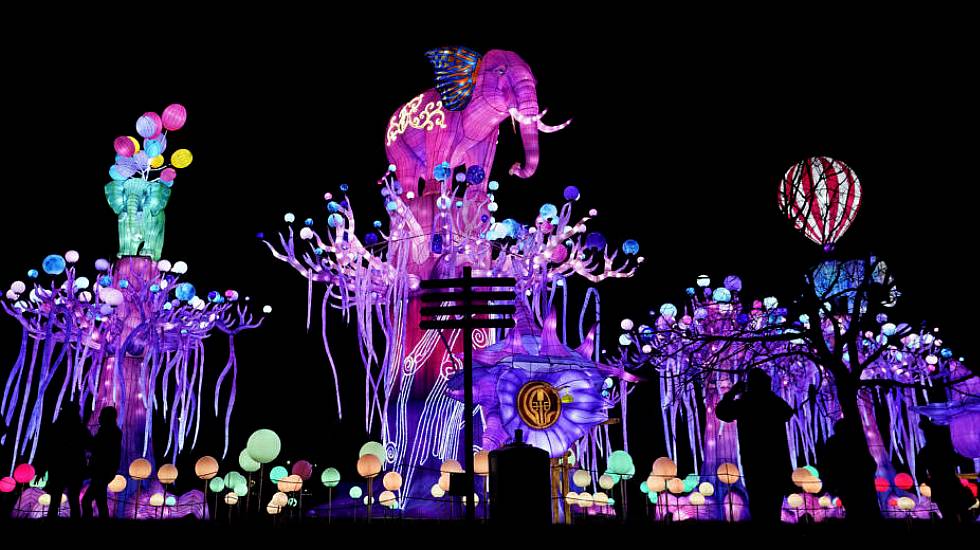 Enchanting Display Of Colour At Dublin Zoo For Wild Lights Spectacular