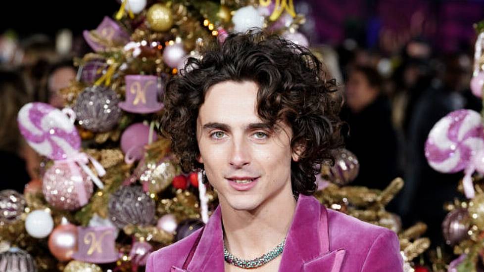 Timothee Chalamet Calls Wonka A 'Joyful' Christmas Film