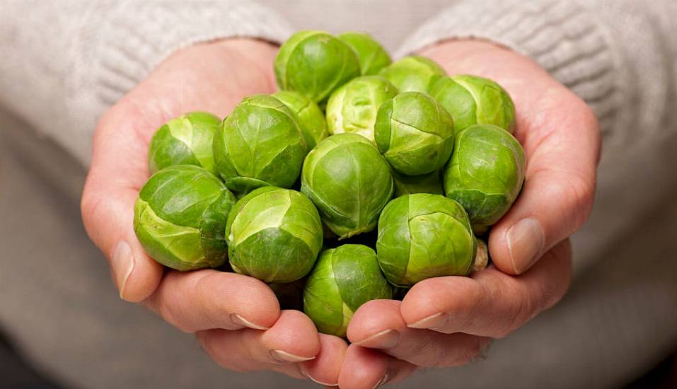 How To Grow Your Own Brussels Sprouts