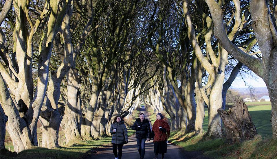 Trees Made Famous By Game Of Thrones ‘Could Disappear Within 15 Years’