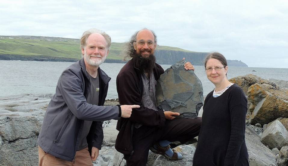 ‘Exceptional’ 315-Million-Year-Old Fossil Sponge Found Near Cliffs Of Moher