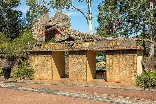 Largest Male Specimen Of World’s Most Venomous Spider Found In Australia