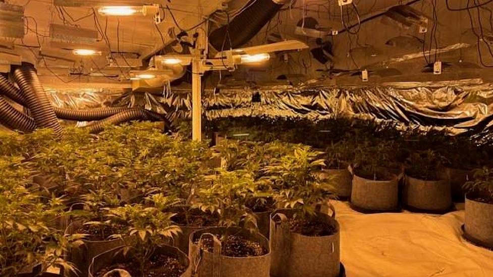 Man Charged After Cannabis Plants With Street Value Of €230,000 Seized