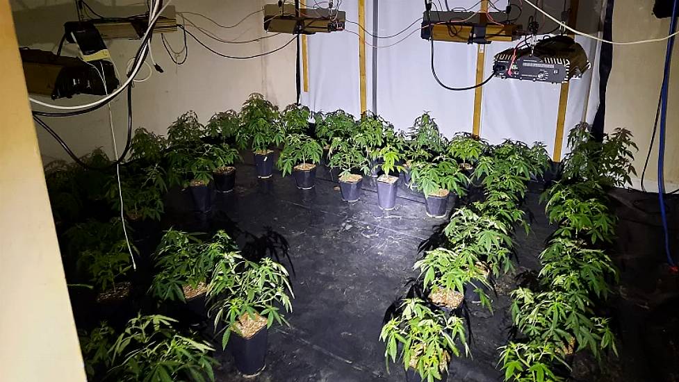 Man Arrested After Cannabis Worth €115,000 Seized From House