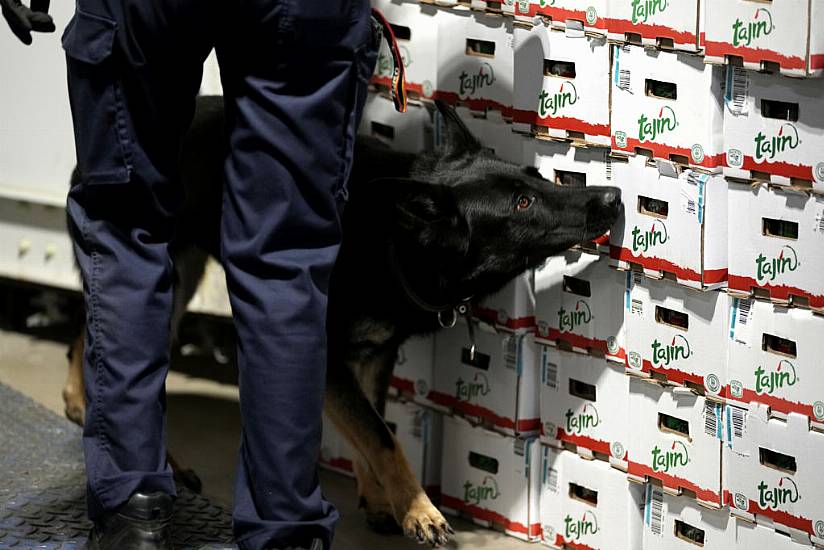 Belgian Customs Seize Record Amount Of Cocaine As Eu Faces Drug Violence Rise