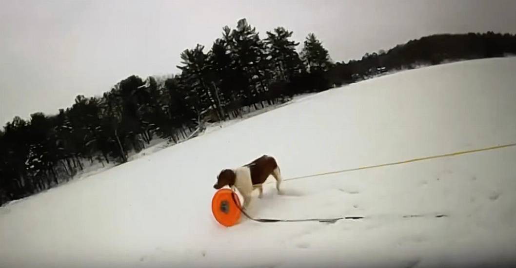 Police Officer Enlists Man’s Dog To Help Rescue Him From Icy Lake