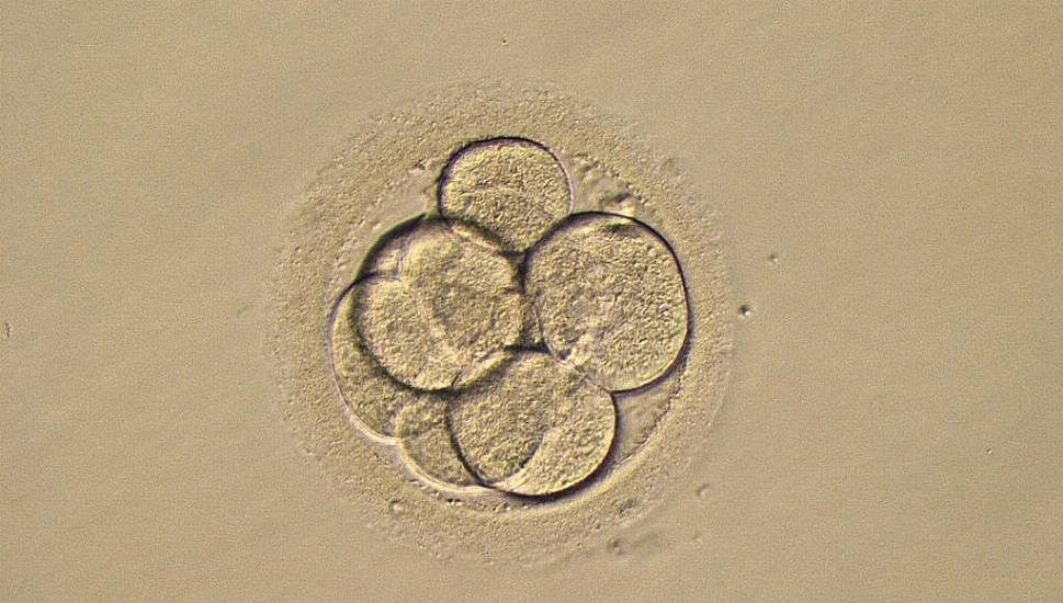 Couple Sue Fertility Clinic Over Loss Of Embryos