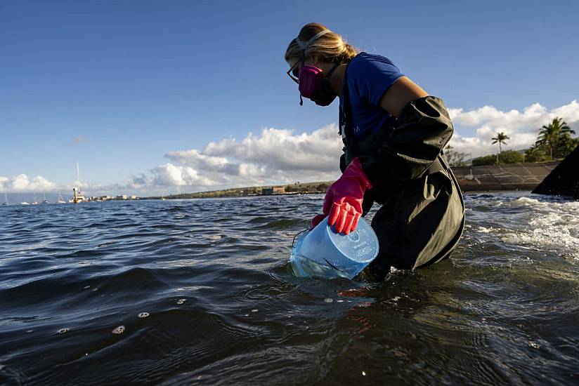 Coral Researchers Study How Hawaiian Wildfire Affected ‘Foundation Of Life’