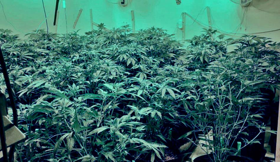 Gardaí Seize €300,000 Of Cannabis After Grow Houses Discovered In Galway