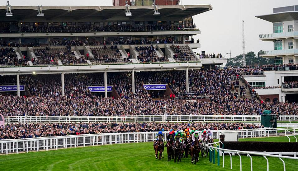 Cheltenham Festival Goer Suffers Serious Head Injuries During Assault