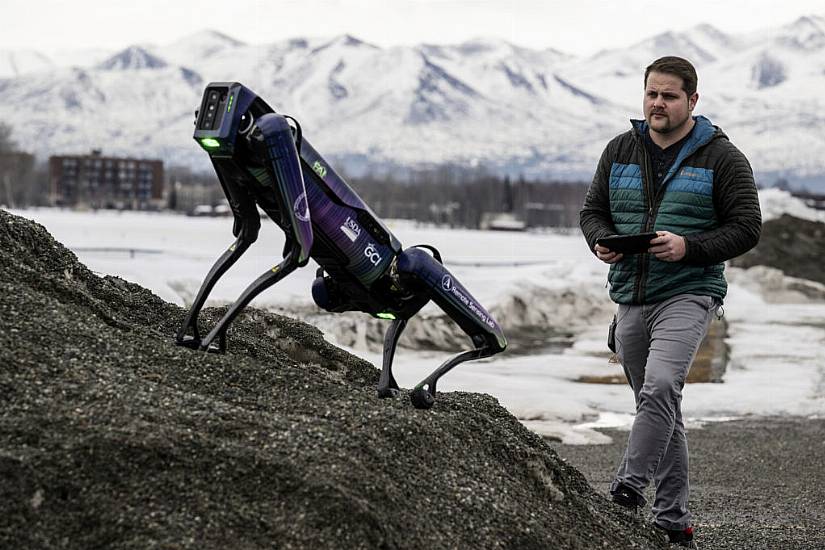 Robot Dog Disguised As Coyote Lands Job Scaring Birds Away From Runway