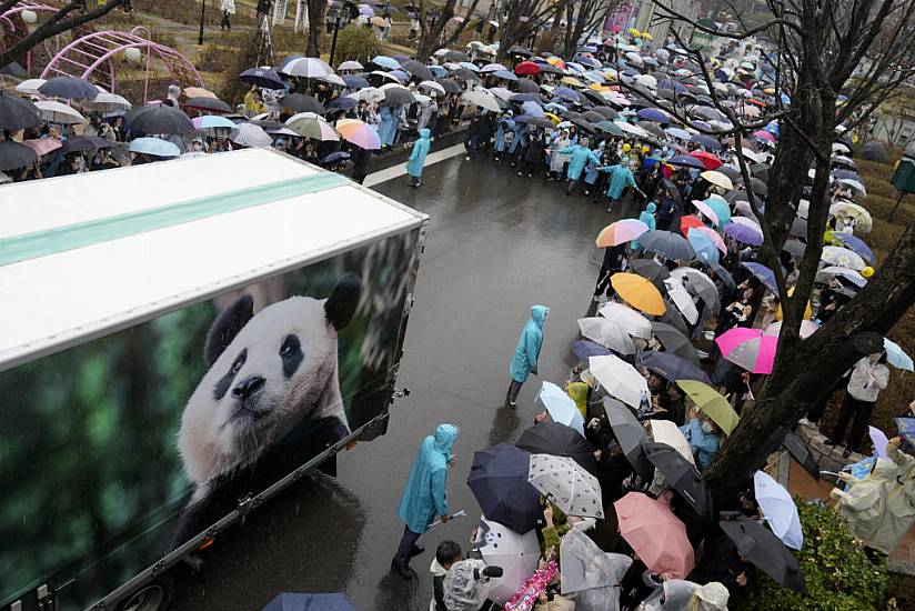 South Koreans Bid Emotional Farewell To Beloved Panda Leaving For China