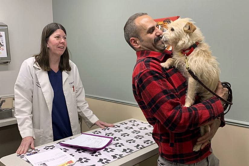 California Dog Missing Since The Summer Found More Than 2,000 Miles Away