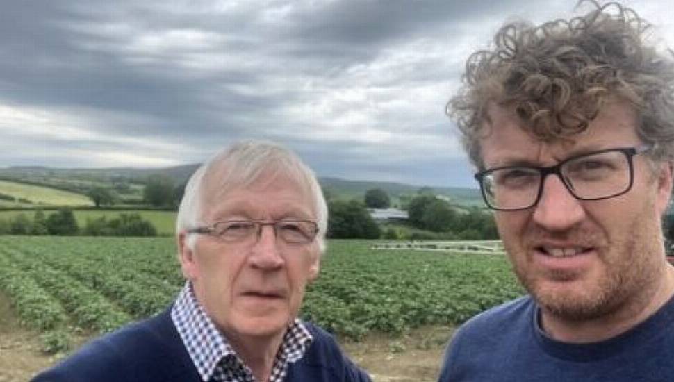 'Lucky' Farmer Manages To Plant Potatoes As Major Shortage Looms Due To Heavy Rainfall