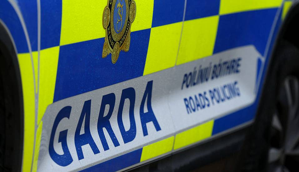 Woman (80S) Dies After Being Hit By Van In Carlow Town