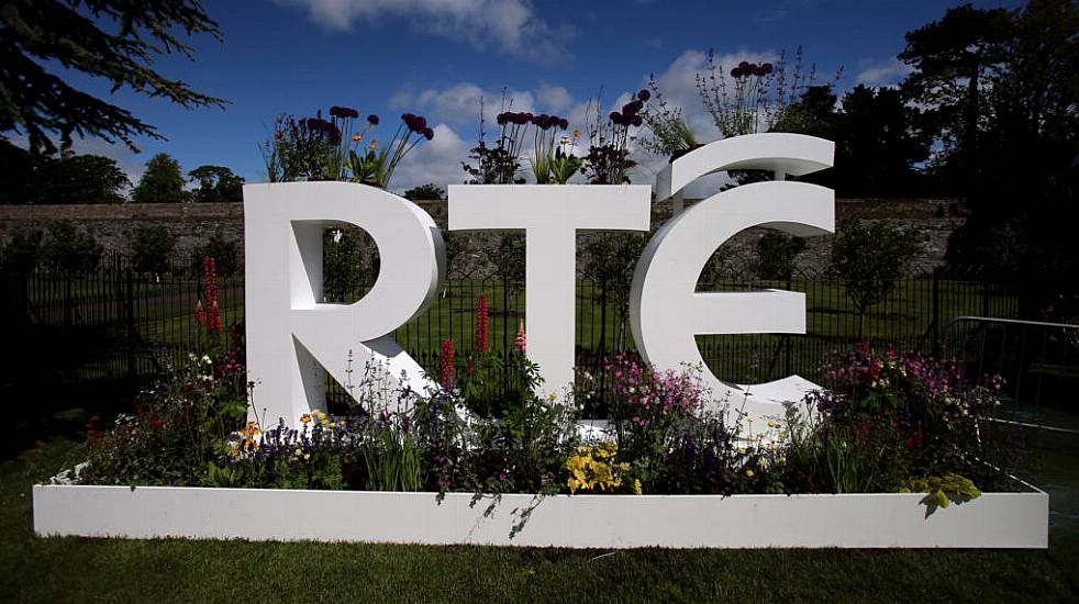 Rté's €725 Million Funding 'A Sticking Plaster' Without A Long-Term Vision — Labour Senator