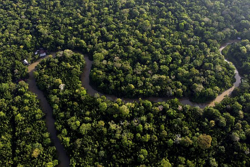 Amazon Deforestation In Brazil ‘Down To Lowest Level Since 2016’