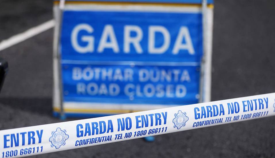 Young Girl Treated In Hospital Following Dog Attack In Co Kerry