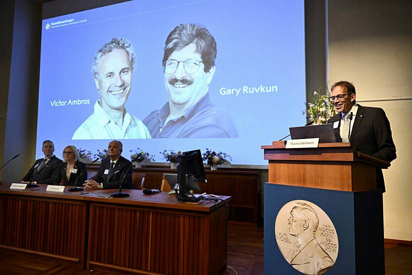 Nobel Prize In Medicine Honours Two Americans Over Discovery Of Microrna