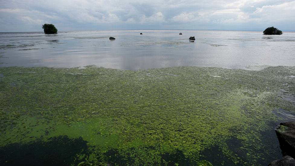 Blue-Green Algae On Ireland's Largest Lake To Be Observed From Space