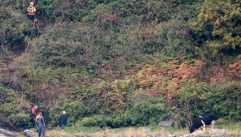 Irish Coast Guard Rescues Stranded Cow On Donegal Shores