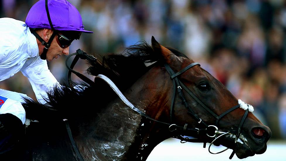 Dispute Over Ownership Of €2.4M Retired Racehorse Comes To Court