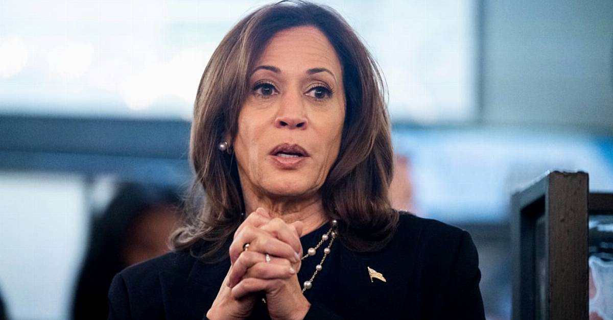 Kamala Harris Promises to Represent All Americans in Election Fight Against Trump