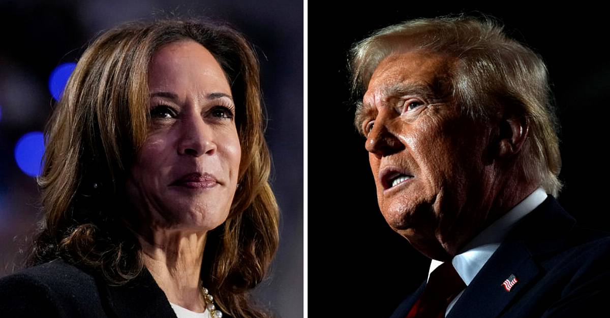 US Presidential Election 2024: Early Exit Polls Reveal Tight Race Between Trump and Harris