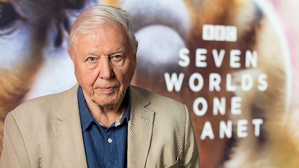 David Attenborough Wins An Emmy For Work On Seven Worlds, One Planet